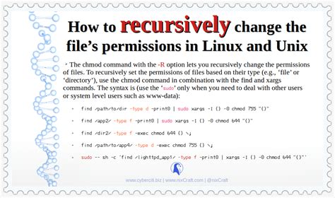 chmod recursive 777|Linux Change File Permissions Recursively ( conditional ).